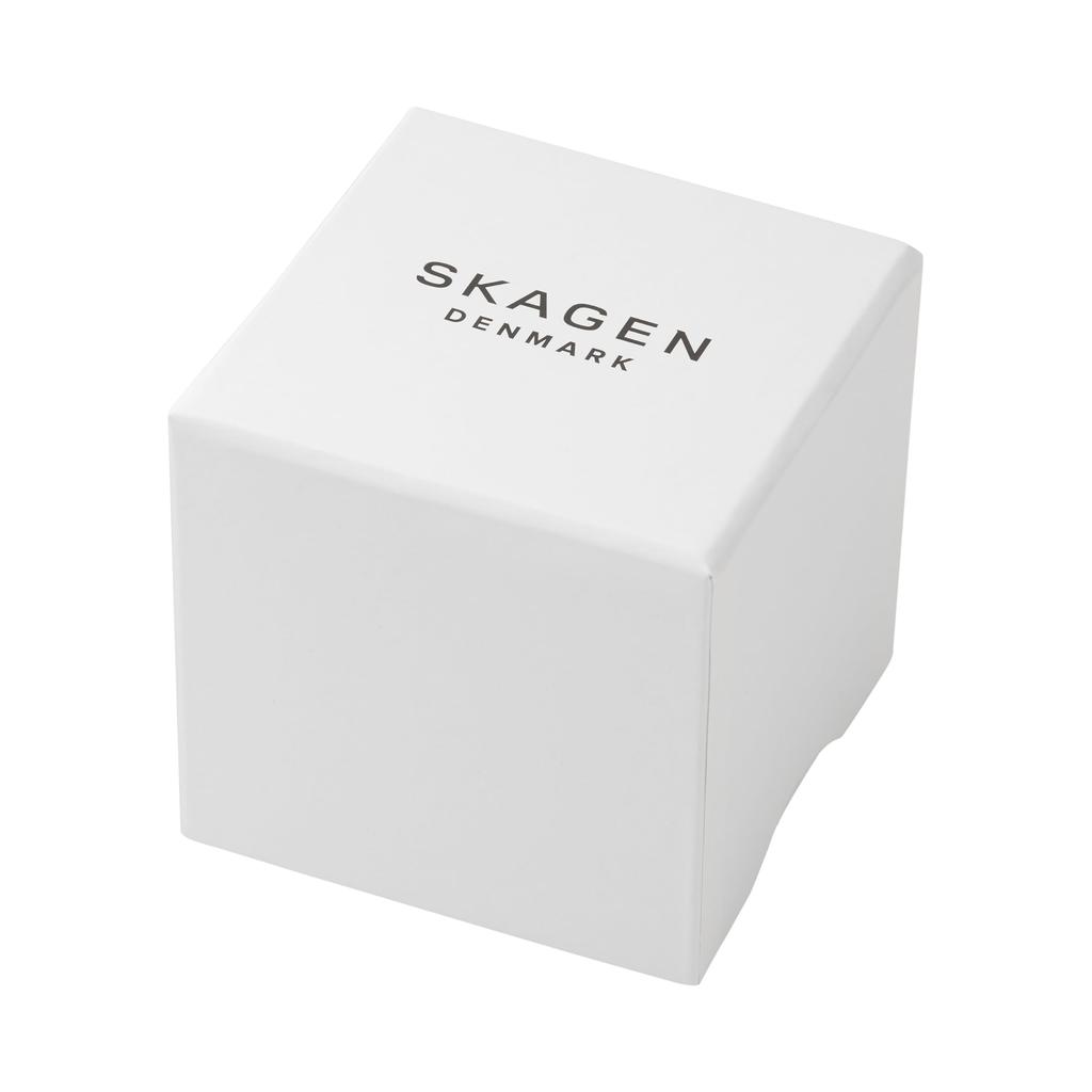 Watch HAGEN SKW6928 Black [Skagen] Men's