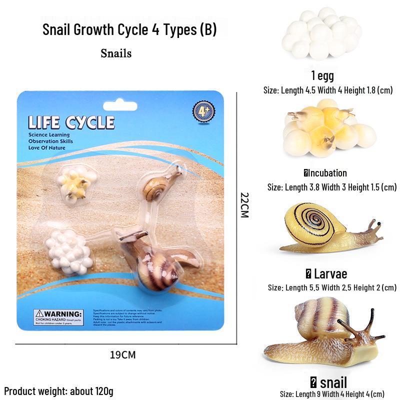 Pediatric Cognitive Simulation: Mini Salmon Growth Cycle Toy