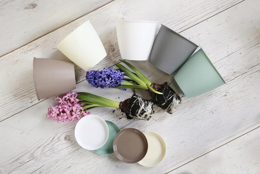 Plastic Plant Saucer for Pot Azalia