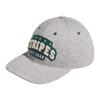 adidas Katoenen Baseballpetten Unisex Grijs Adidas JF6258