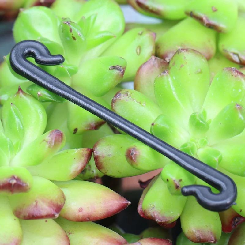 200 st Trädgårdsväxter Vinrankor Fästa Klämmor för Kiwi Druva Gurka Tomat Bundna Spännen Surrningskrok Stjälkfäste Gadgets Ympning