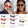Fashion Eyewear Shades Sun Glasses Vintage Sunglasses Small Frame Cat Eye