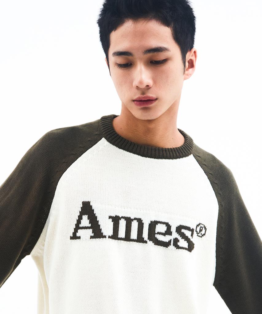AMES-WORLDWIDE Basic Raglan Pullover Knit Khaki