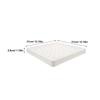 Plant Dolly Heavy Duty Thickened Tray with Hidden Wheels Rolling Planter Base for Indoor Outdoor Garden Movable Plant Pot