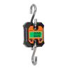 WeiHeng 100kg/50g Portable Electronic Hanging Scale Multifunctional Small Electronic Scale KG Catty