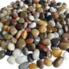 Galets Colorés pour Aquariums, Aménagement Paysager et Pots de Fleurs - Naturels, Lisses et Petits
