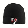 Green Day American Idiot Knitted Hats Autumn Winter Skullies Beanies New Hip Hop Fans Caps Female Male Acrylic Fashion Skullcap