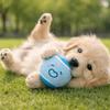 3 Pieces Color Blocked Pet Tennis Ball Elastic Pet Bouncy Ball Cute Dog Chew Toy  for Puppy Dogs