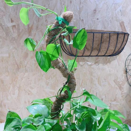 Plant Climbing Stick Bendable Handmade Breathable Non-shedding Firm Plant Growth DIY Moss Pole Plant Support Stake Garden Supplies