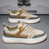 Men's Shoes Spring New Men's Board Shoes Men's Korean Version Trendy Versatile Non-slip Wear-resistant Sports Casual Leather Shoes