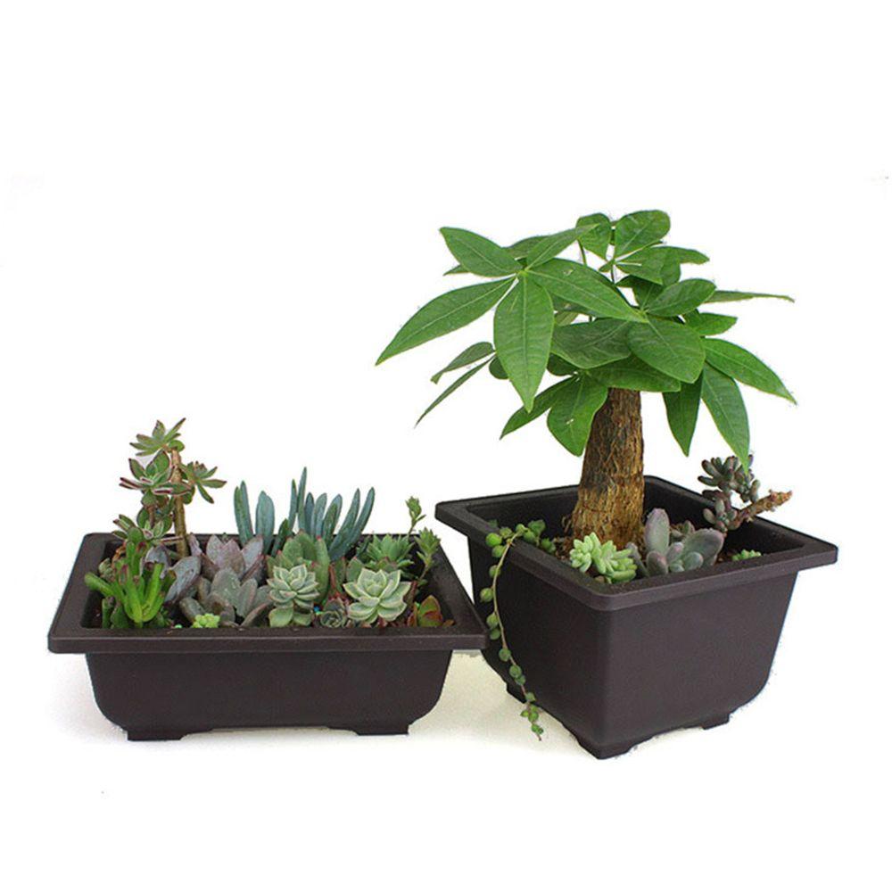 Plastic Planter Balcony Square Flower Pot Bonsai Plant Bowl Succulent Basin