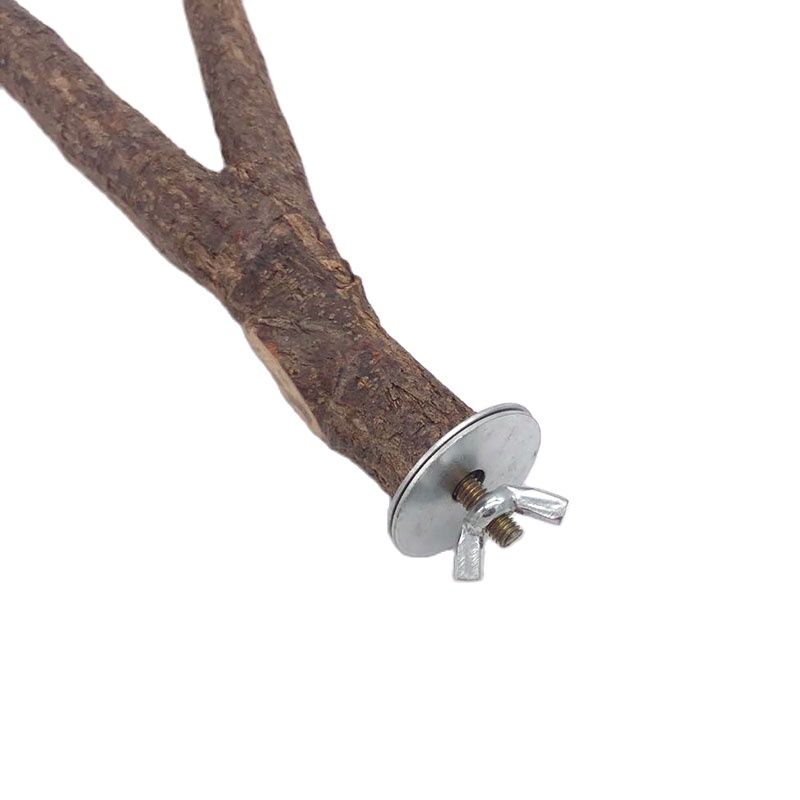 Natural Wood Pet Parrot Raw Wood Suitable Fork Tree Branch Stand Rack Squirrel Bird Hamster Branch Perches Chew Bite Toys Pet Accessories Decor