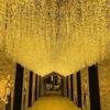 Colorful Waterproof LED Starry Sky String Lights for Outdoor Weddings & Decorations.