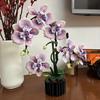Purple Phalaenopsis Orchid Flower Building Block Set - Realistic Purple And Green Diy Model Kit, Includes Blooming Orchids, Lifelike Plants