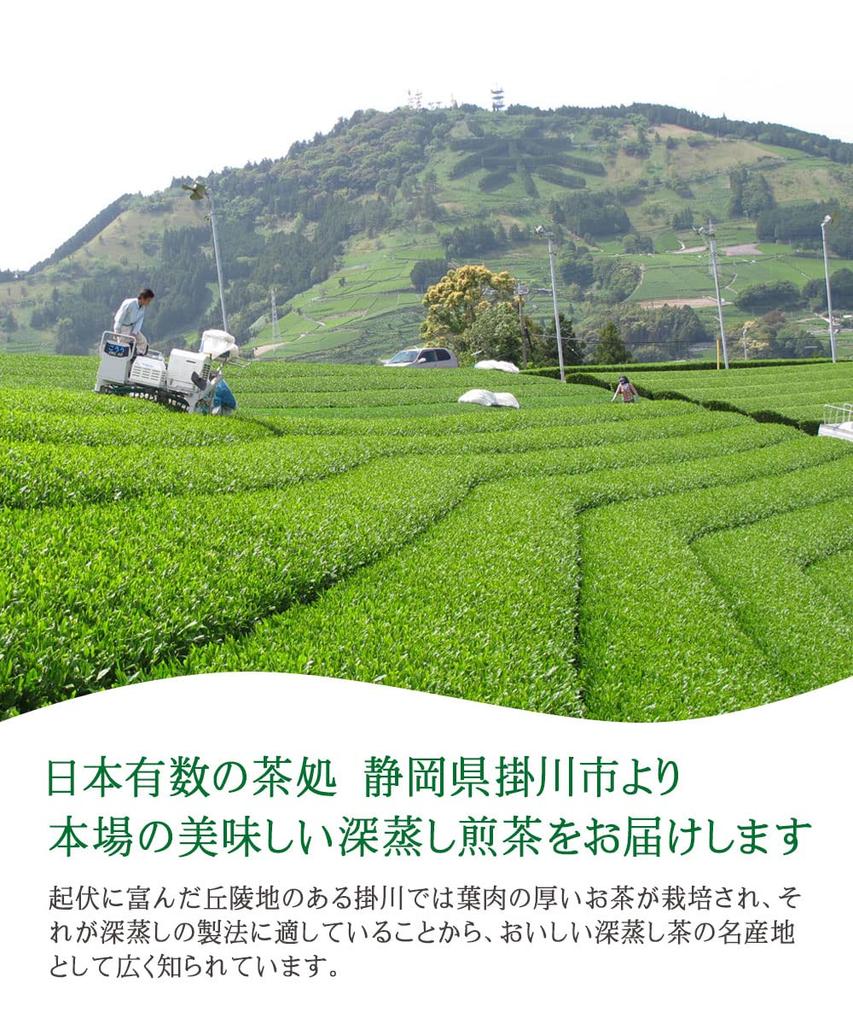 Top Smile Kakegawa Prefecture First Picked First Flush Green Tea Leaves Deep Steamed Cover Tea Premium 100g 3 Bags