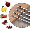 Stainless Steel Fruit Nuclear Device Easy Removal Tool Hawthorn Red Dates Cherry Apple Pears Kitchen Accessories