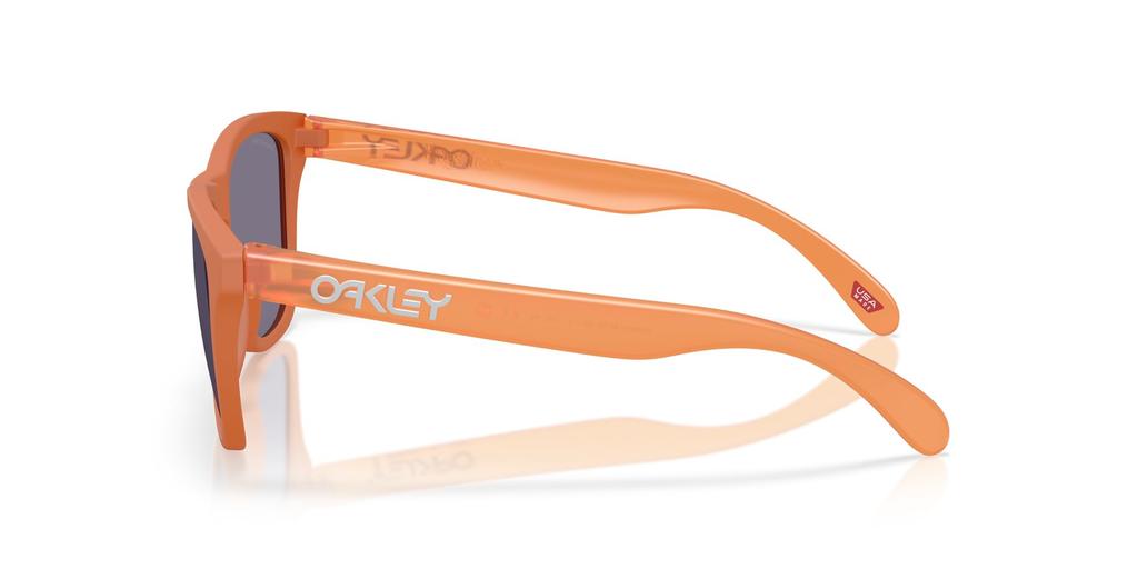 Oakley Sunglasses 0OO9013 FROGSKINS 9013M155 Matte Ginger Prizm Grey Polarized [Oakley]