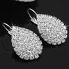 Lady's Elegant Shiny Waterdrop Rhinestone Claw Hook Stud øredobber smykker