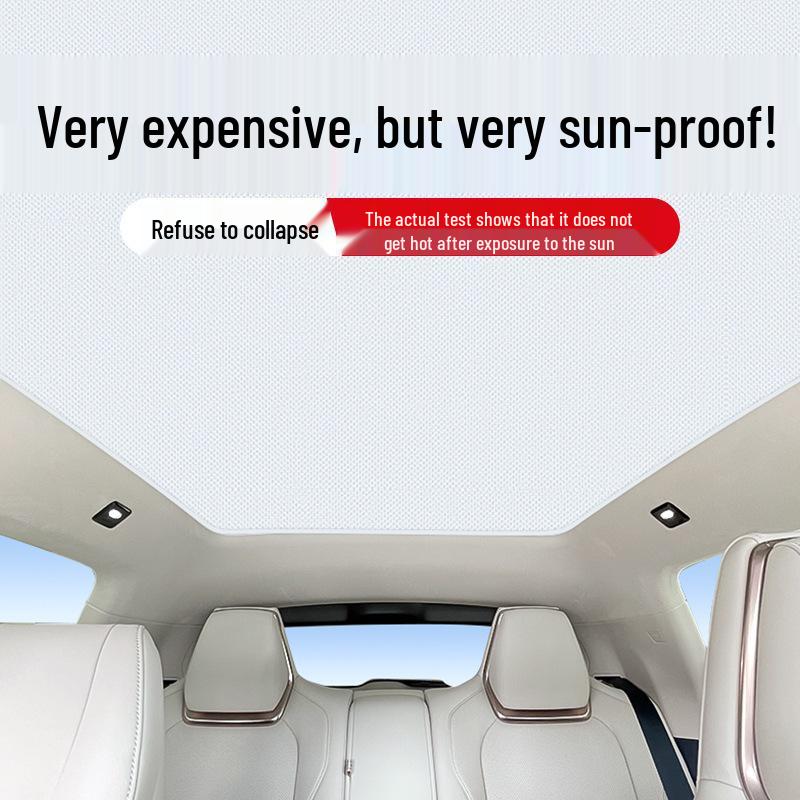 Silicone Suction Electrostatic Sunroof Sunshade for Zeekr 001 007 009 7X