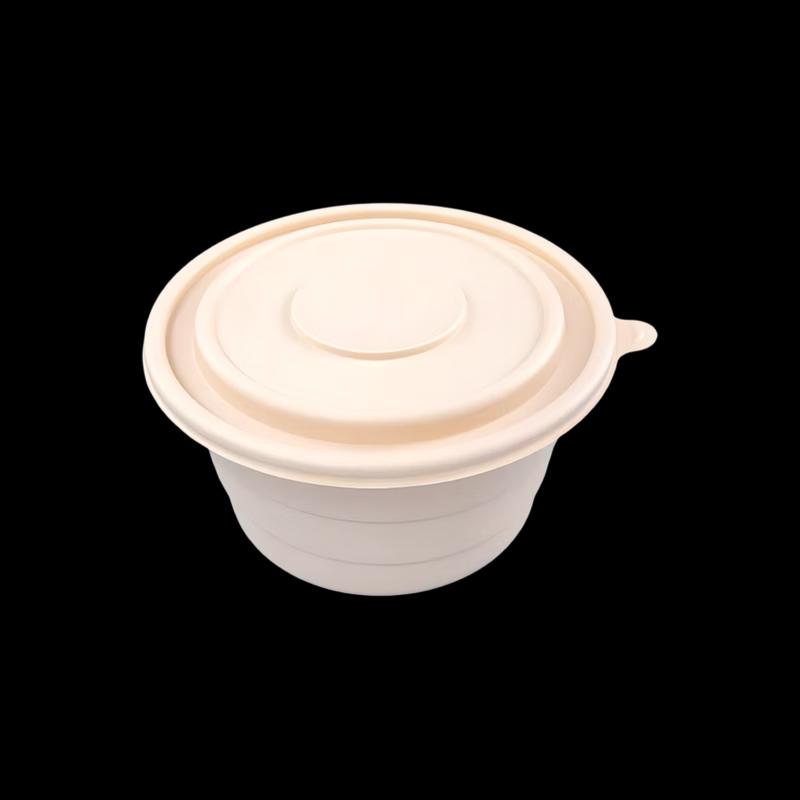 Wandaxia Biodegradable Disposable Food Containers