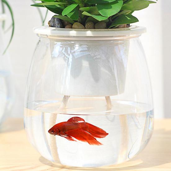 Self Watering Plant Pot Flower Pot with Transparent Reservoir Clear Self Watering Planter for Indoor Plants Flowers African Violets