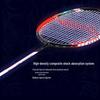 Li-Ning Zhanji 900 Badminton Racket
