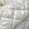 Dames Ruimte Katoen Designer Schoudertas Winter Dons Gevoerd Gewatteerd Grote Capaciteit Handtas Shopper Draagtas