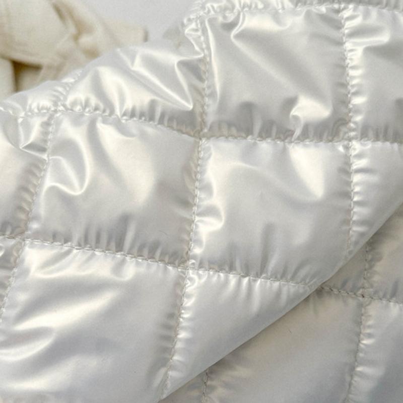Dames Ruimte Katoen Designer Schoudertas Winter Dons Gevoerd Gewatteerd Grote Capaciteit Handtas Shopper Draagtas