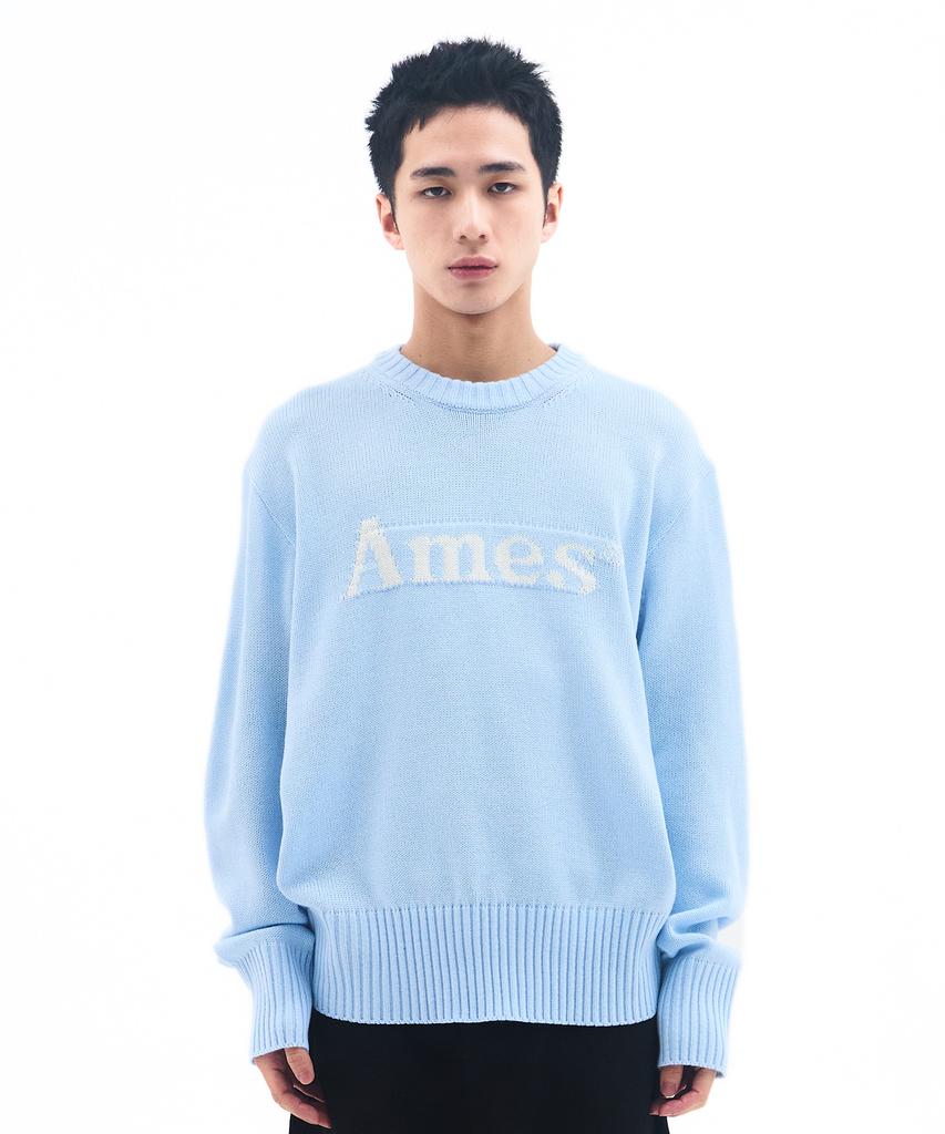 AMES-WORLDWIDE Basic Pullover Knit Light Blue