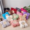 Plush Velvet Double-Layer Blanket for Kids Sofa or Quilt Cover