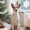 Cute Christmas Pet Costumes Santa Hat Soft Adjustable Santa Hat Comfortable Colorful Pet Santa Hat Pet Show