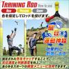 SALUDABLE Reaction Balls Training Rods for Reflexes and Dynamic Visual Acuity Practice Set (6 pieces)