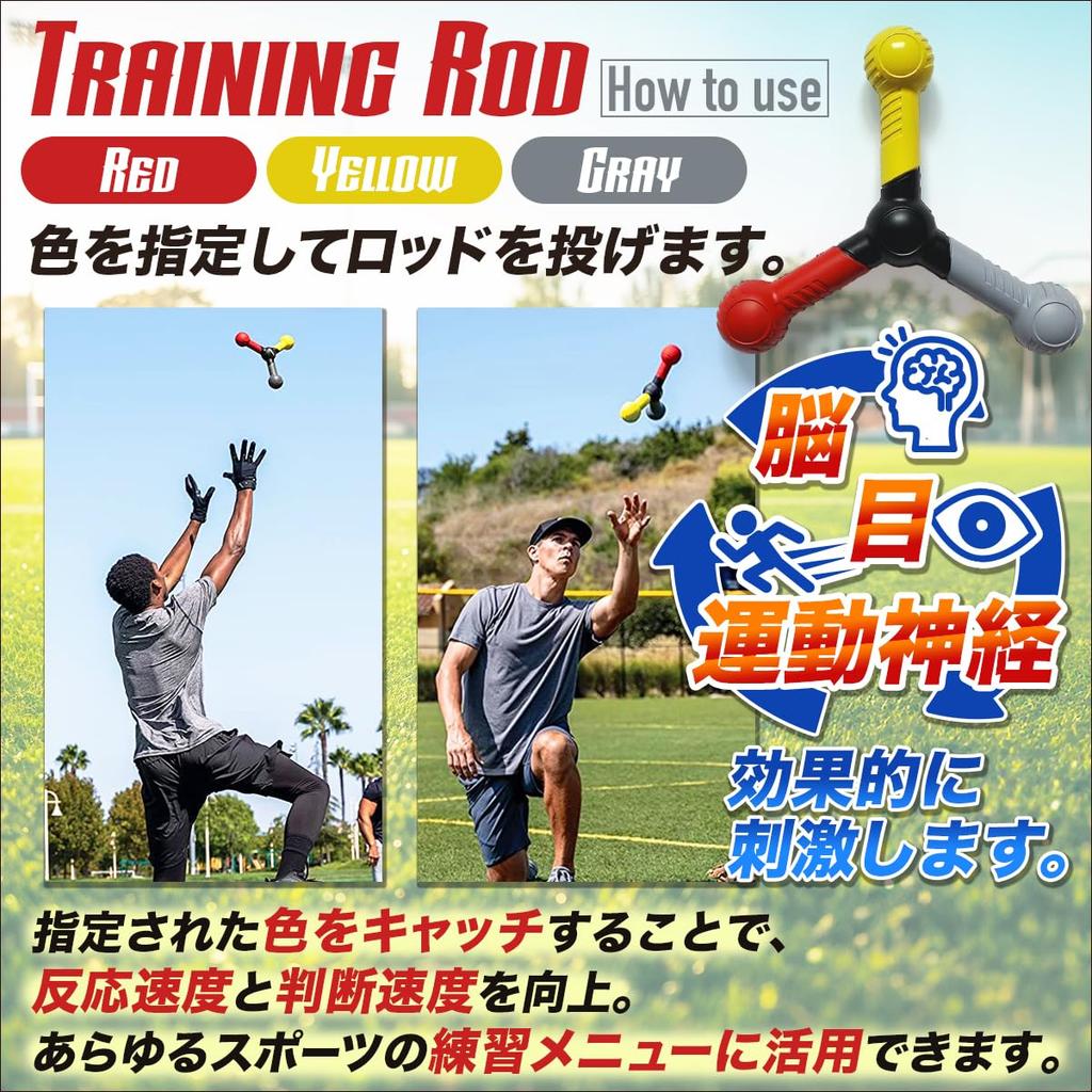 SALUDABLE Reaction Balls Training Rods for Reflexes and Dynamic Visual Acuity Practice Set (6 pieces)