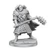 Kit de modèles miniatures D&D Frameworks (Humain Guerrier M)