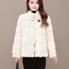 Cappotto corto da donna in velluto effetto visone, corto, ispessito, piccolo cappotto effetto visone danese, autunno e inverno, nuovo
