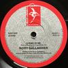 Disc de 7 inch RORY GALLAGHER - Seems To Me RORY1 Demon Records 1987 UK Rock Folosit