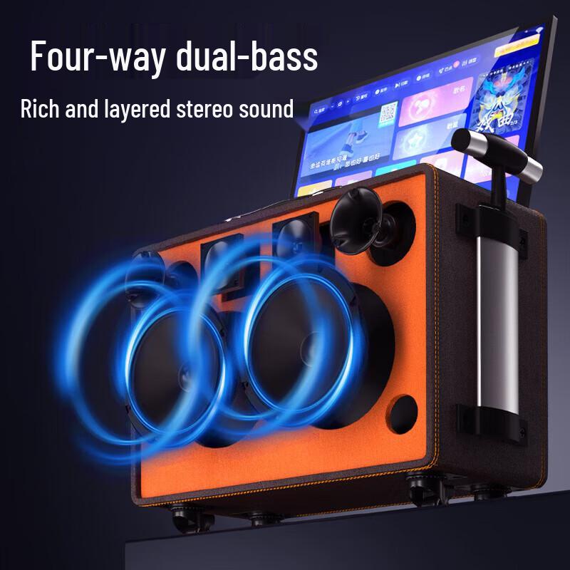 TEMEISHENG TA06 Portable KTV Speaker System with Screen CN plug (adapter included) (CN version)