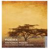 Poems by Antonia Pozzi Paperback Book 9781847494702