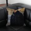 PPatrick GGibson Movie Star Cushion Cover Pillow Case Antidustmite Invisible zipper silky plush cushion