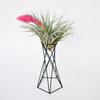 Plant Rack Eco-friendly Breathable Nordic Style Sturdy Minimalistic Fixing Iron Pineapple Design Potted Holder Garden Supplies
