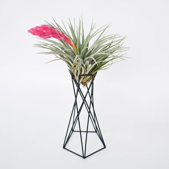 Plant Rack Eco-friendly Breathable Nordic Style Sturdy Minimalistic Fixing Iron Pineapple Design Potted Holder Garden Supplies