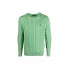 Polo Solid Color Logo Embroidered Cable Knit Crew Neck Sweater Men Sweater Green 710775885-052