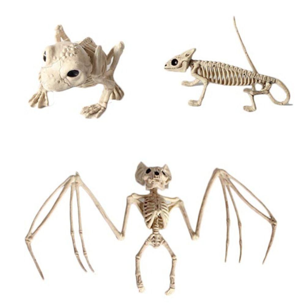 Human Bones Halloween Bats Skeleton Skeleton Model Animal Model Halloween