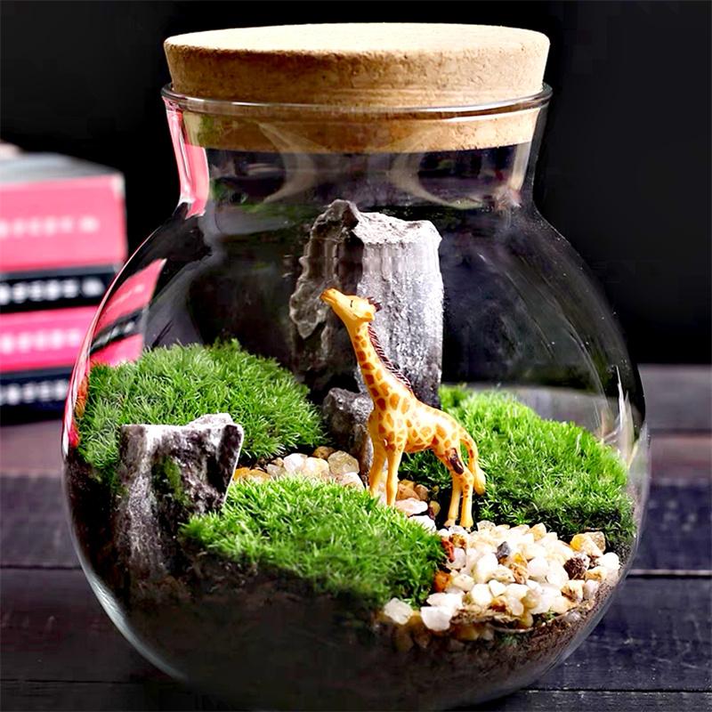 Micro Landscape Glass Bottles with Cork Lid Glass Vase Bryophyte Moss Plant Container Glass Terrarium Bonsai Desktop Decoration