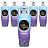 Elastine Silk Repair Conditioner Baby Powder Fragrance, 550ml, 6 Pcs.