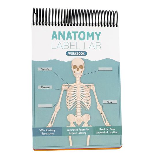 Anatomy Label Lab Workbook Human Anatomy Illustrations Workbook 100+ Full-Color Dry-Erase Pages Educational Resource for Students Professionals