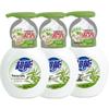Chaoneng Antibacterial Foaming Hand Wash with Olive Leaf