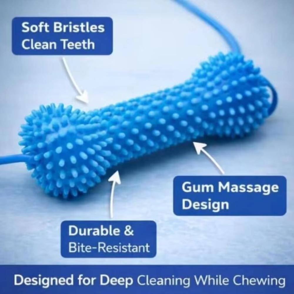PVC Dual-Action Canine Dental Prop Dog Toothbrushing Toy for Medium Small Dogs