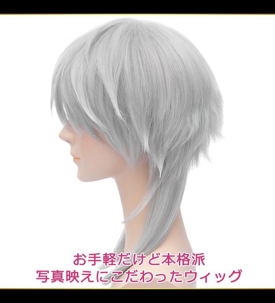 CaseEden Cosplay Wig, Short, Longer Nape, Heat Resistant, Silver Hair (Silver Gray), Includes 2 Wig Nets