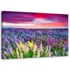 Canvas Print, Meadow In Bloom